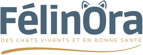 Félinora