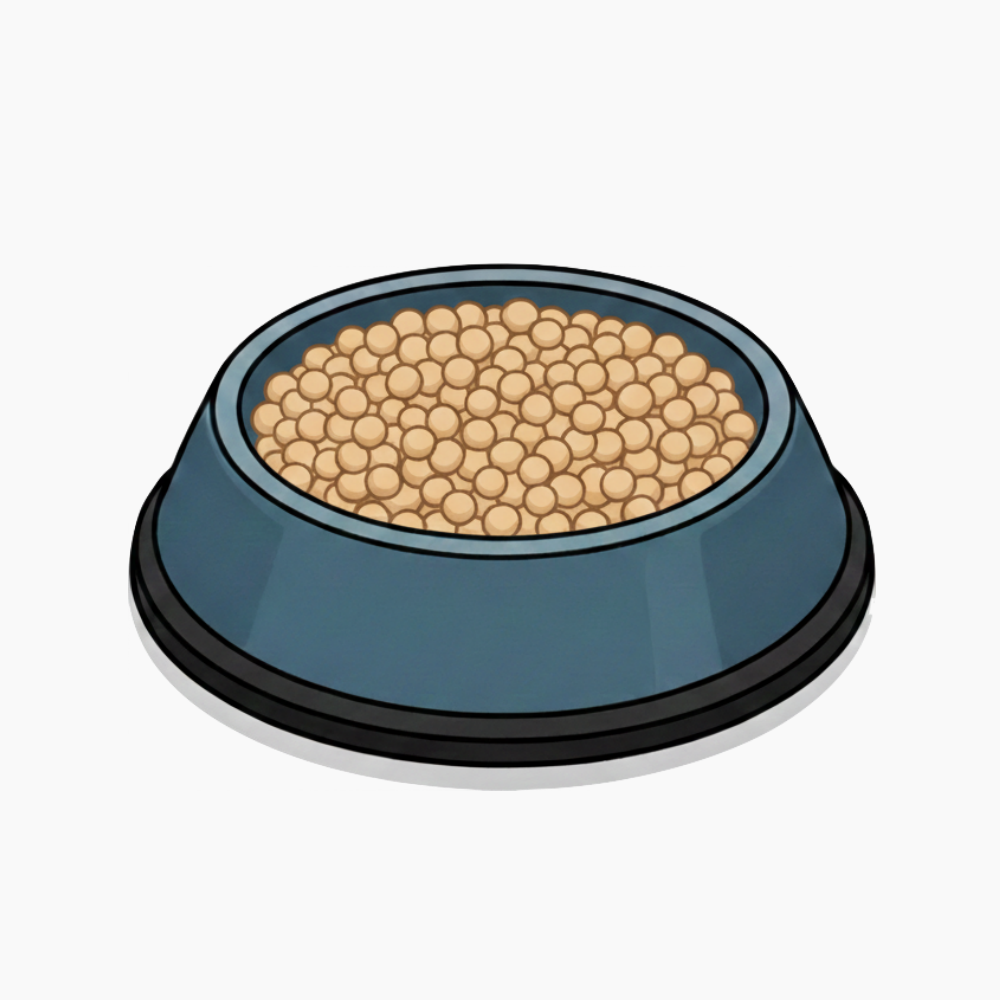 Gamelles chat Image