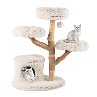 ARBRE A CHAT BOIS FLOTTÉ