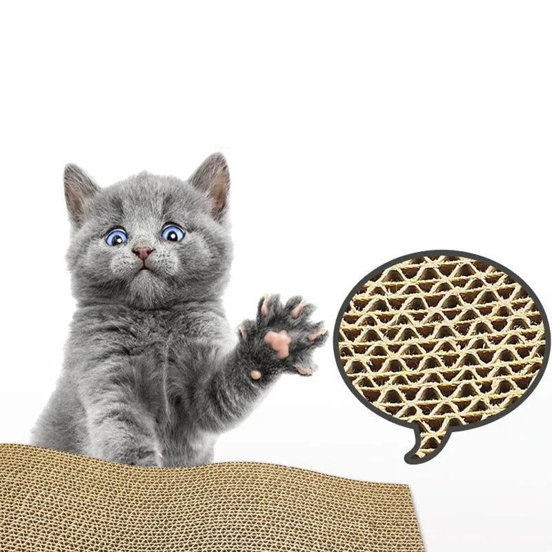 GRIFFOIR CHAT <br> "Modèle 3"