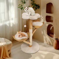 ARBRE À CHAT EN BOIS FLOTTÉ<br> "Le magnifique"