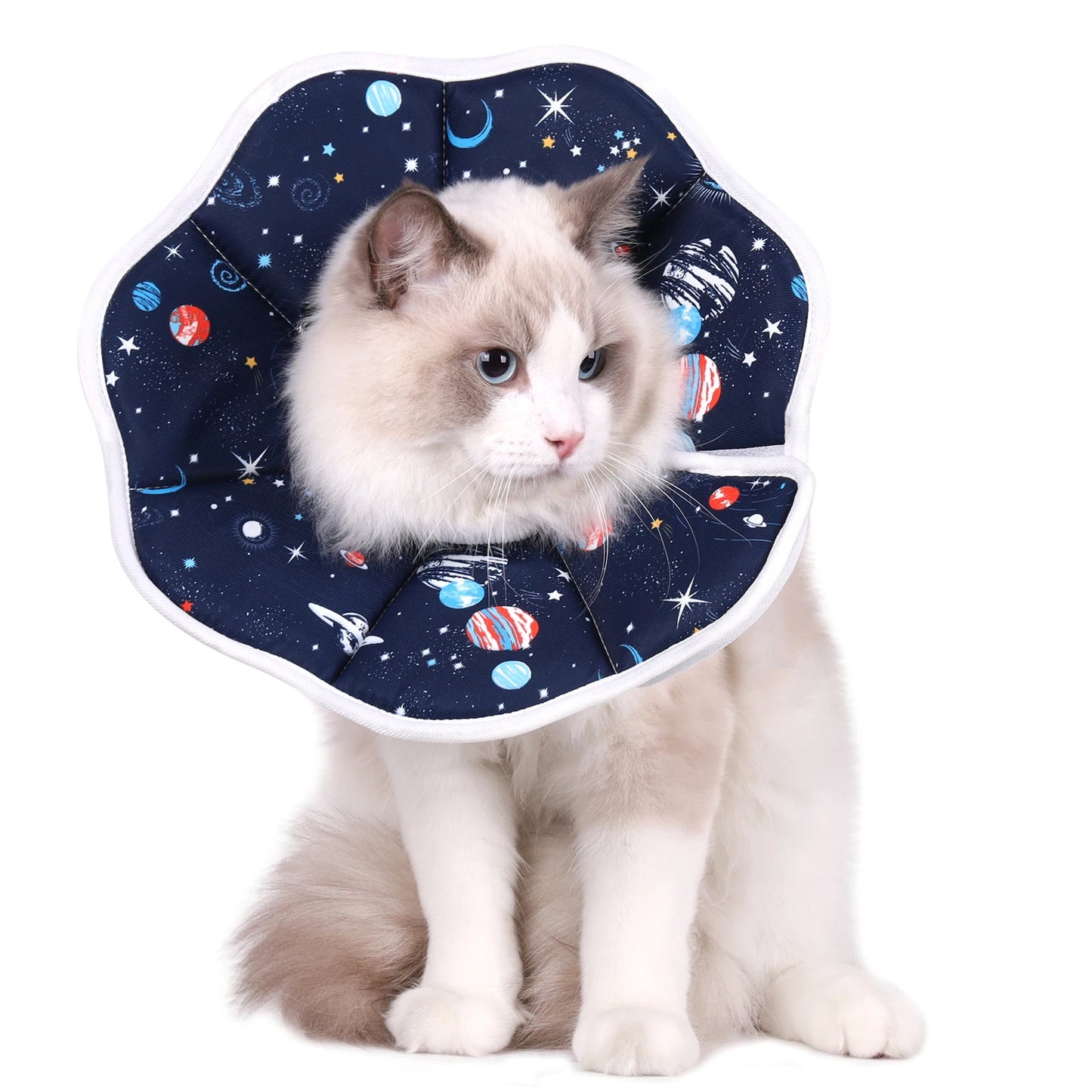 A new Elizabethan collar, stylish and high-value cartoon printed pet protective cover, dog protective cover, cat anti-licking st