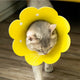Adjustable Flower Shape Cat Recovery Collar for Wound Healing Protective Cone Ideal for Cats Small Dogs Puppy Recovery Aid