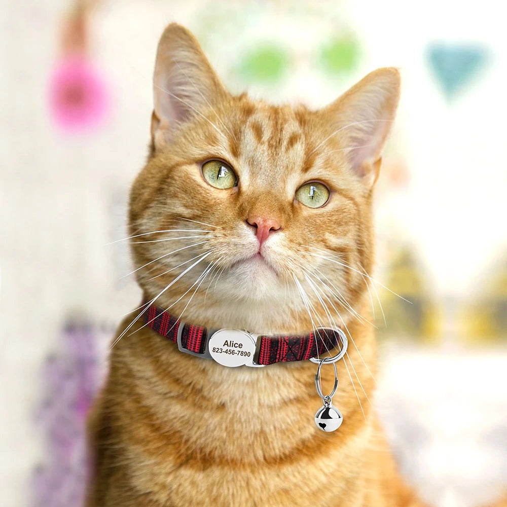 Personalized Printed Cat Collar Adjustable Kitten Puppy Collars With Free Engraved ID Nameplate Bell Anti-lost Cats Collars
