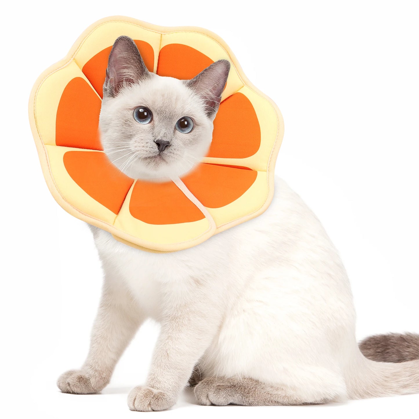 A new Elizabethan collar, stylish and high-value cartoon printed pet protective cover, dog protective cover, cat anti-licking st