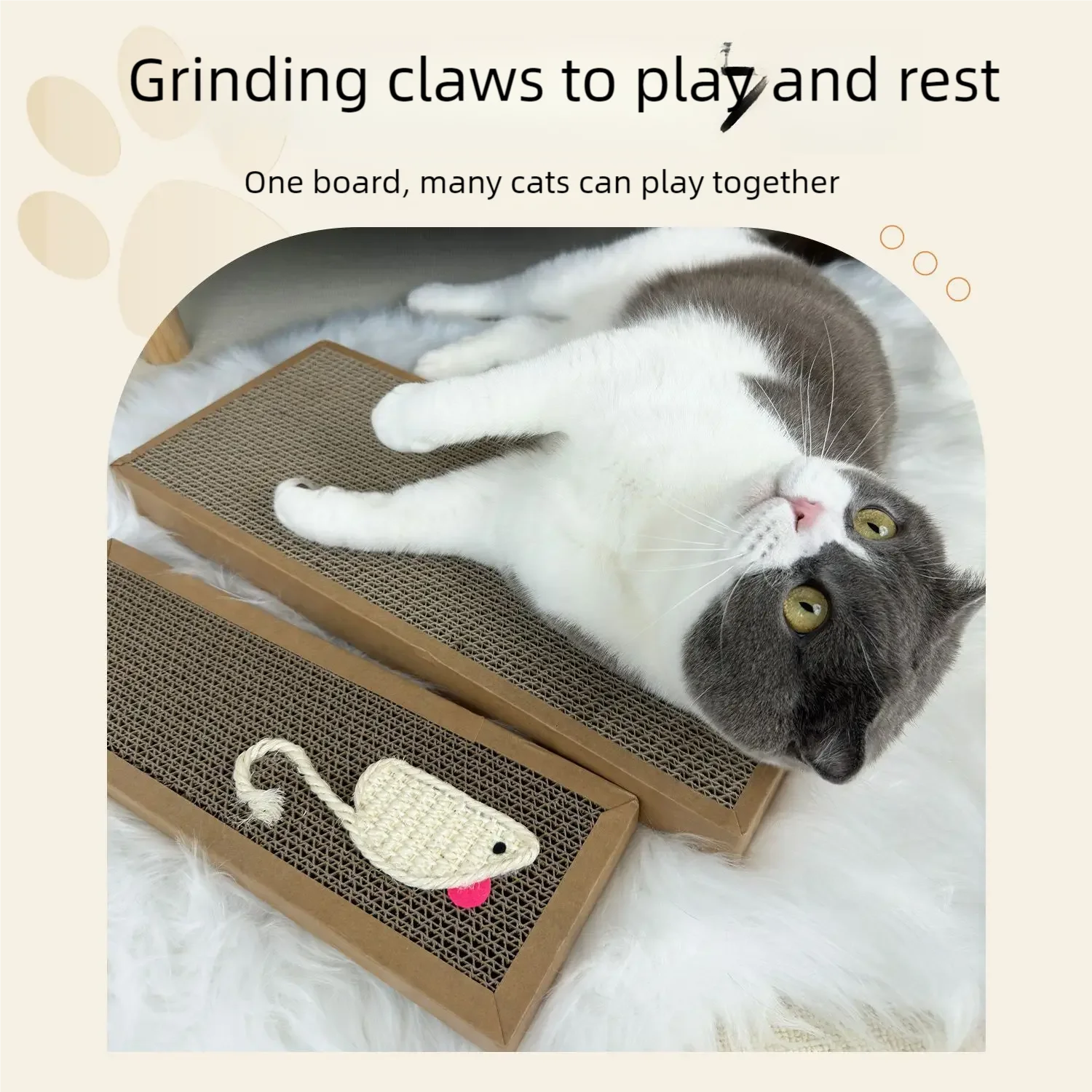 GRIFFOIR CHAT