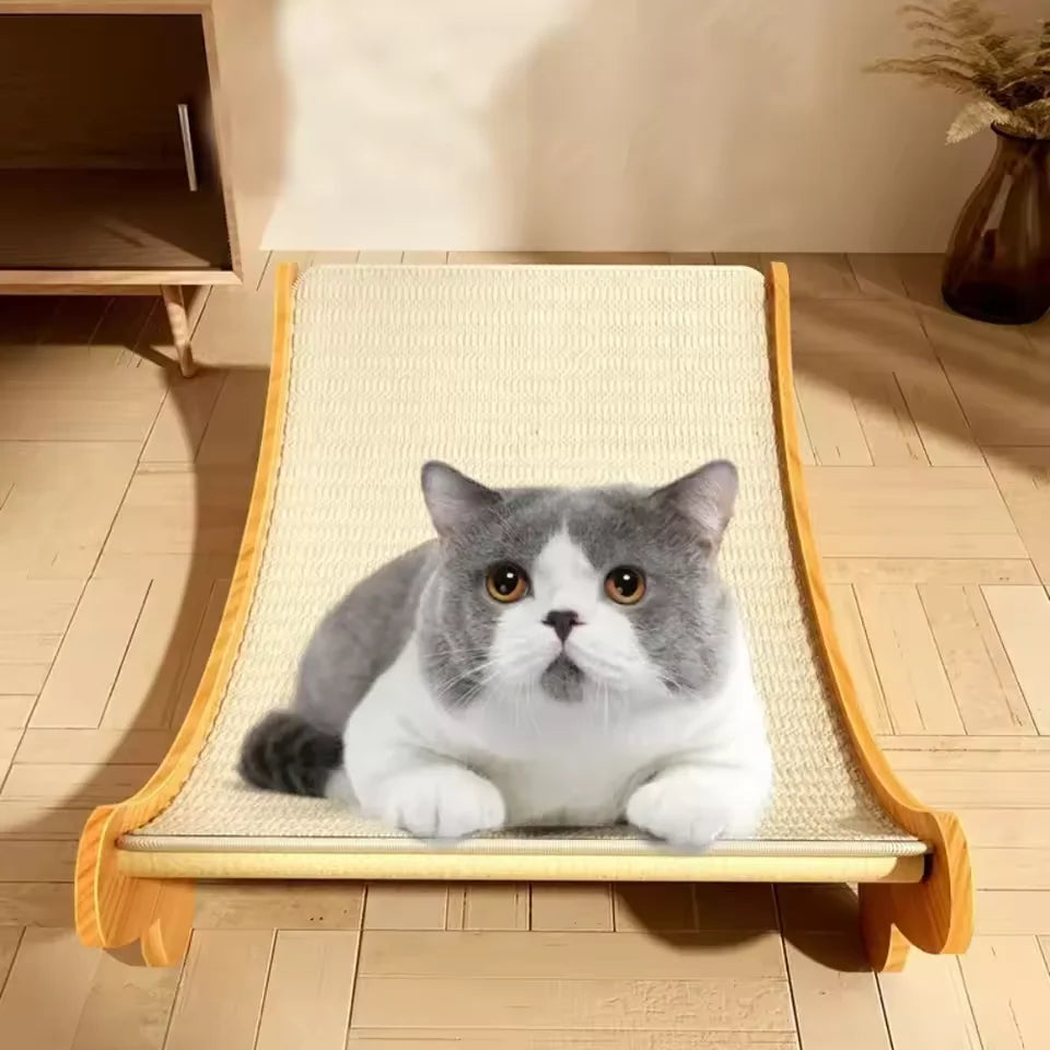 GRIFFOIR CHAT