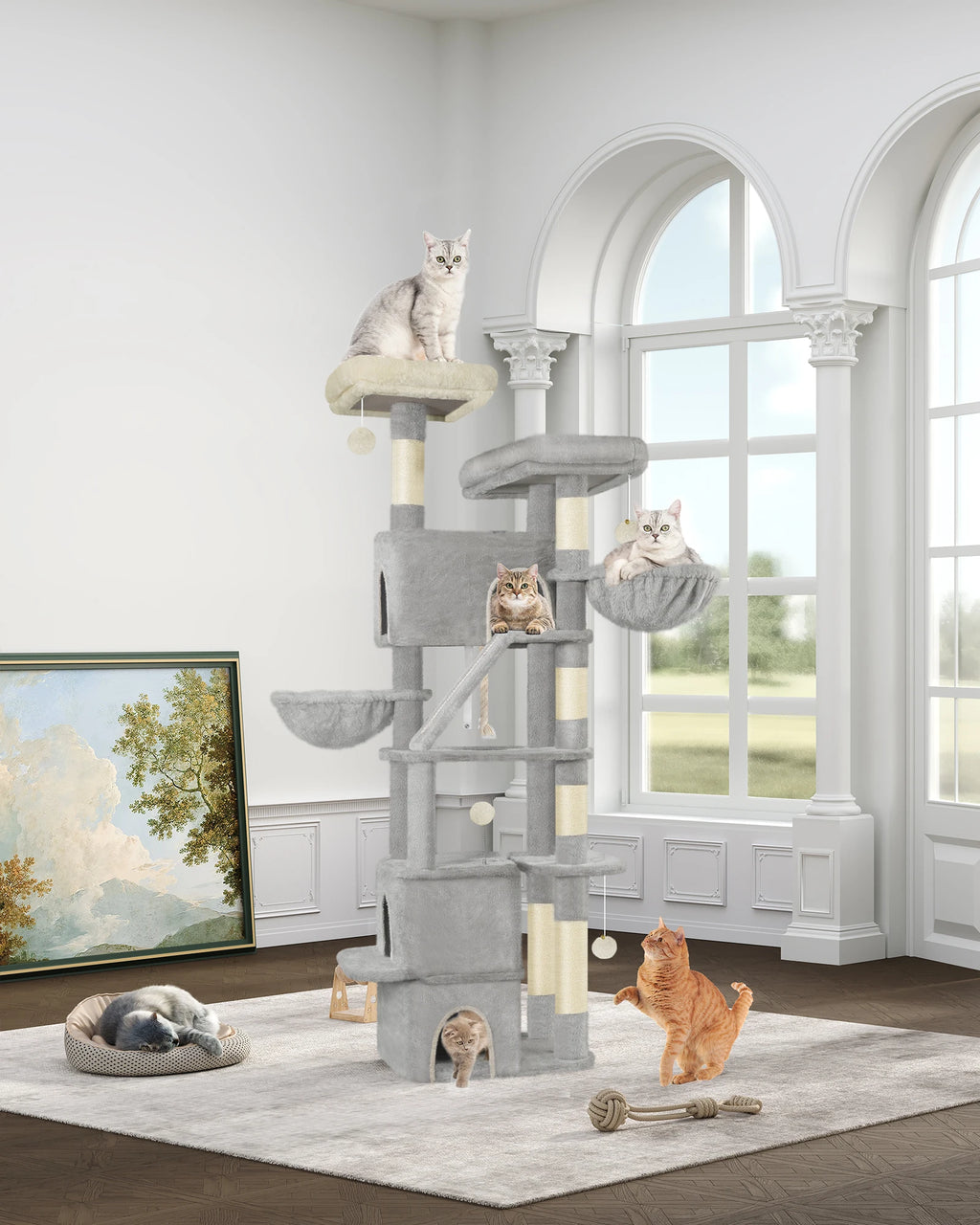 ARBRE A CHAT MAINE COON <br> "Le Trust App"