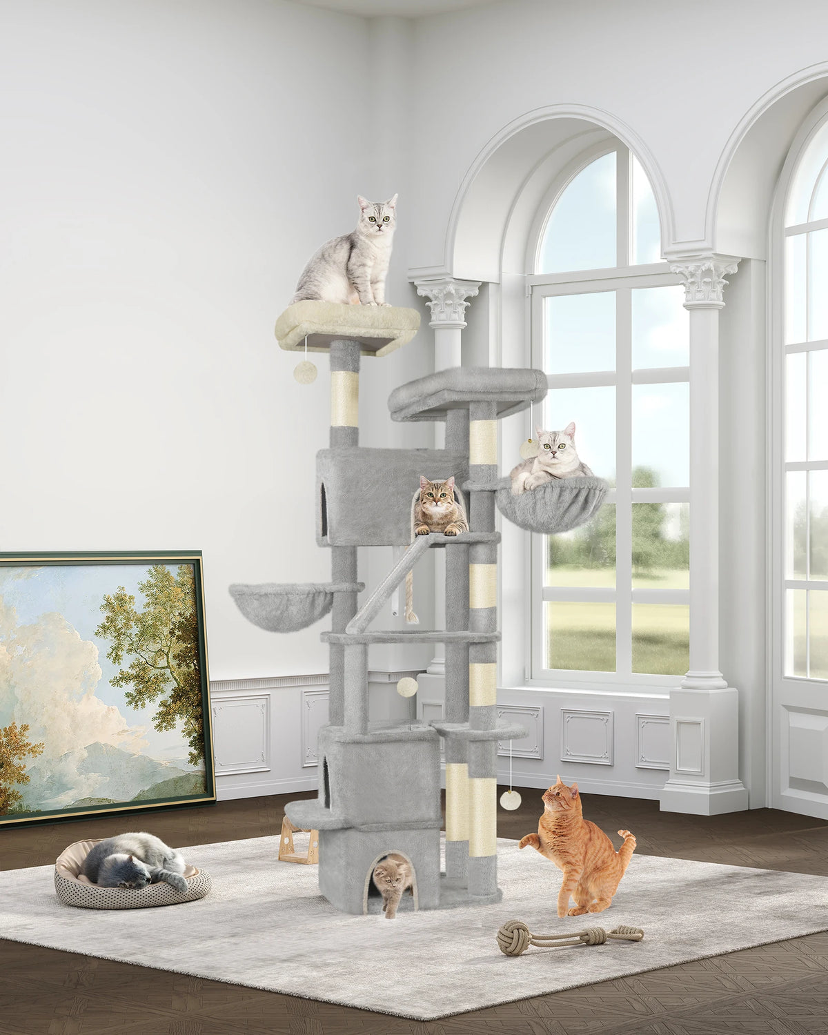 ARBRE A CHAT MAINE COON <br> "Le Trust App"