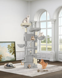 ARBRE A CHAT MAINE COON <br> "Le Trust App"