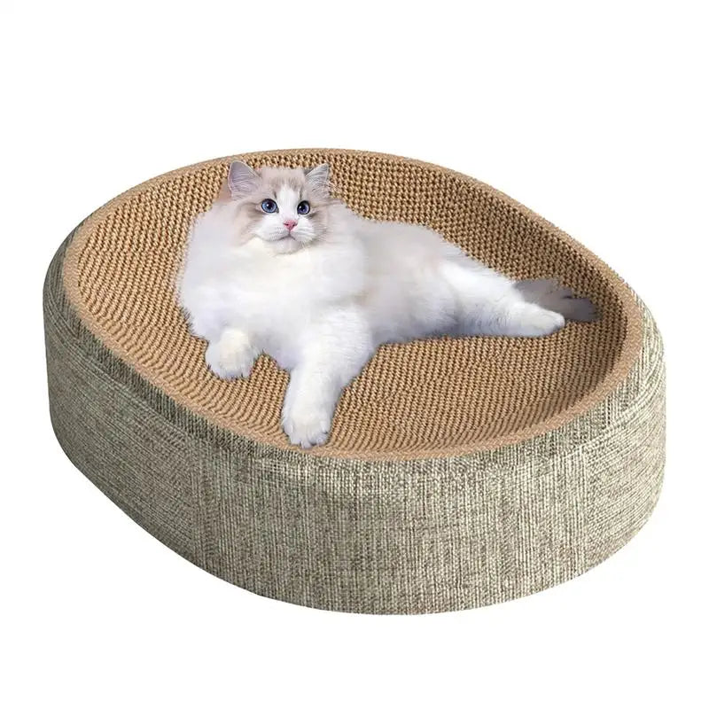 GRIFFOIR CHAT