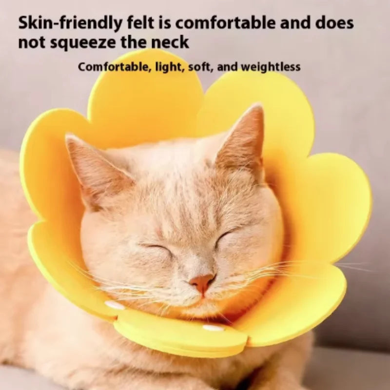 Adjustable Flower Shape Cat Recovery Collar for Wound Healing Protective Cone Ideal for Cats Small Dogs Puppy Recovery Aid