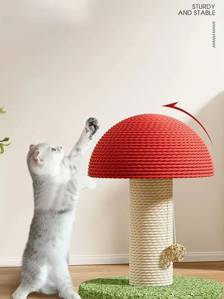 GRIFFOIR CHAT
