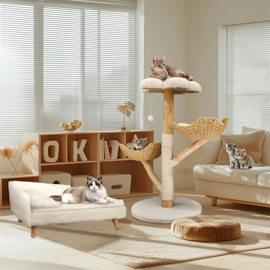 ARBRE À CHAT EN BOIS FLOTTÉ<br> "Le magnifique"