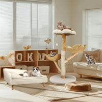 ARBRE À CHAT EN BOIS FLOTTÉ<br> "Le magnifique"
