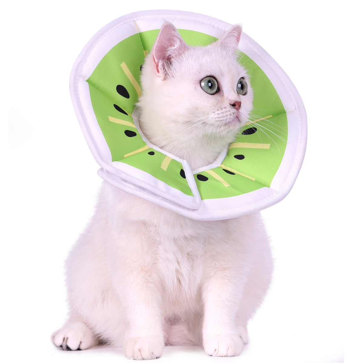 A new Elizabethan collar, stylish and high-value cartoon printed pet protective cover, dog protective cover, cat anti-licking st