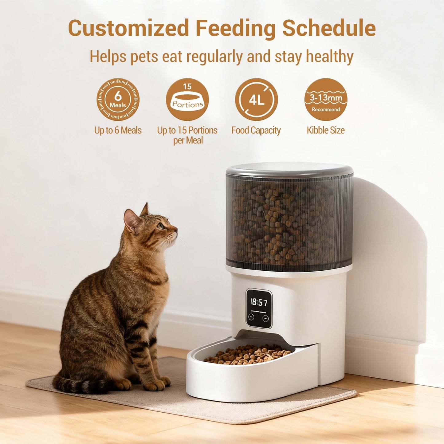 Programmable 4L Automatic Pet Feeder for Small Dogs Cats, Up to 6 Meals Daily, Timer/Portion Control, Pet Feeding Food Dispenser