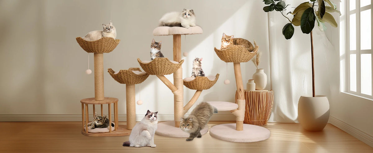 ARBRE À CHAT EN BOIS FLOTTÉ<br> "Le magnifique"