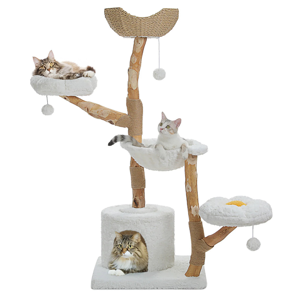 ARBRE A CHAT BOIS FLOTTÉ ALIEXPRESS 138.82