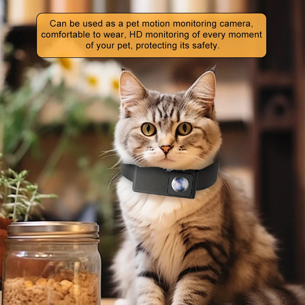 BORME HD 1080P Pet Cameras Dog Cat Pet Camera Wireless Collar Camera No WiFi Needed Video Records for Cats Dogs Birthday Gift