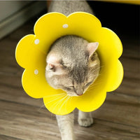 Adjustable Flower Shape Cat Recovery Collar for Wound Healing Protective Cone Ideal for Cats Small Dogs Puppy Recovery Aid