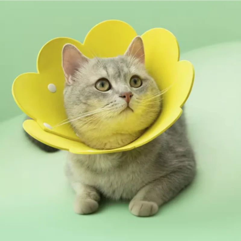 Adjustable Flower Shape Cat Recovery Collar for Wound Healing Protective Cone Ideal for Cats Small Dogs Puppy Recovery Aid
