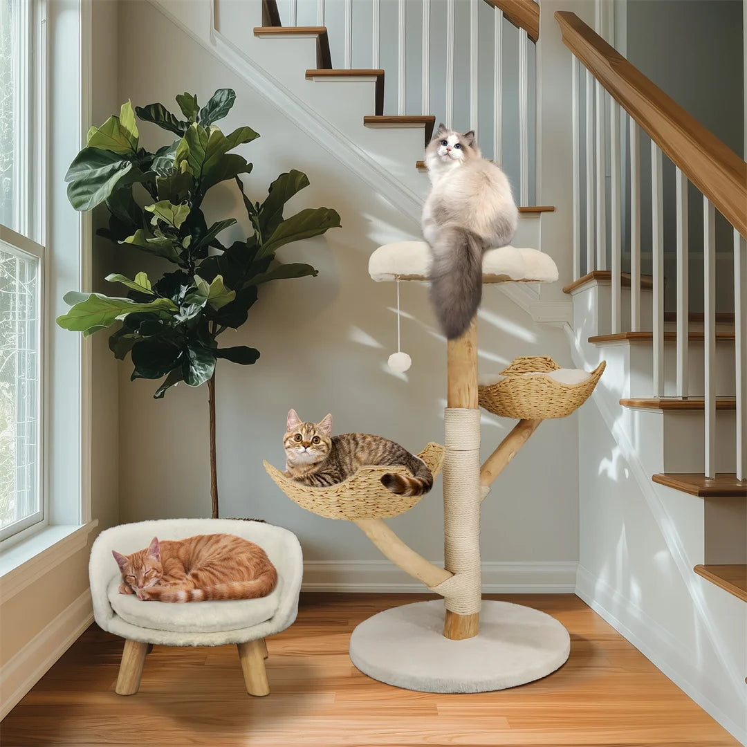 ARBRE À CHAT EN BOIS FLOTTÉ<br> "Le magnifique"