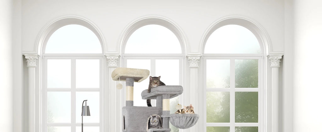 ARBRE A CHAT MAINE COON <br> "Le Trust App"