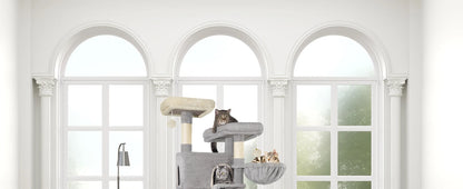 ARBRE A CHAT MAINE COON <br> "Le Trust App"