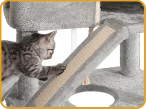 ARBRE A CHAT MAINE COON <br> "Le Trust App"