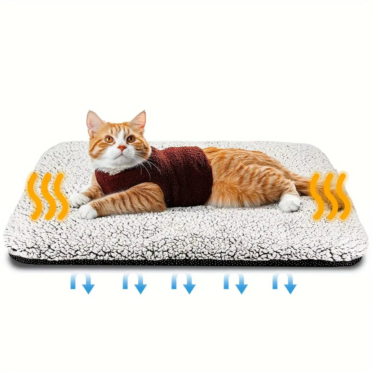 Coussin chauffant