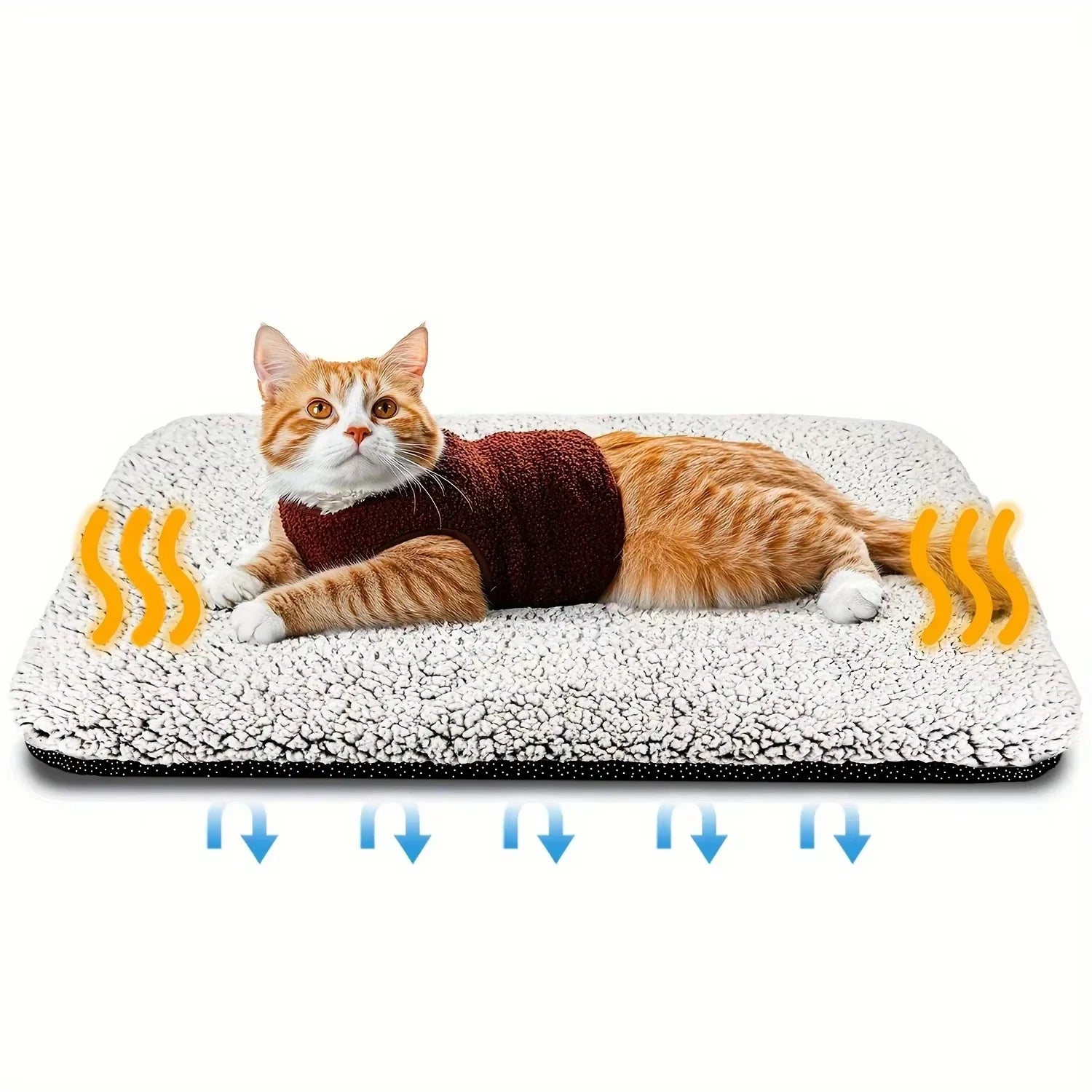 Coussin chauffant