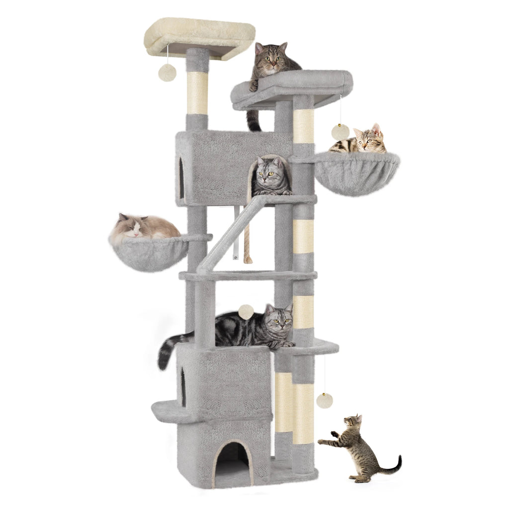ARBRE A CHAT MAINE COON <br> "Le Trust App"