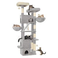 ARBRE A CHAT MAINE COON <br> "Le Trust App"