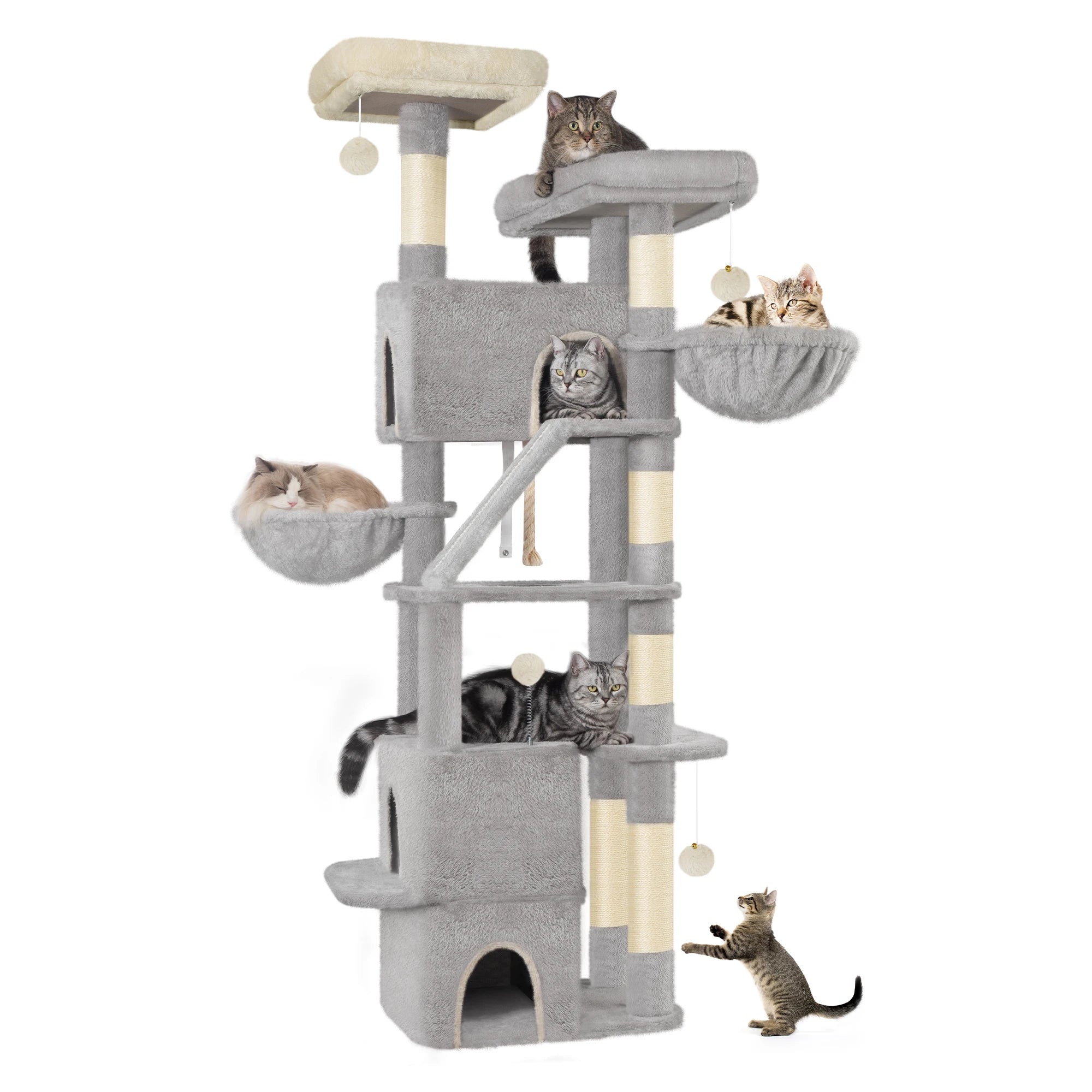 ARBRE A CHAT MAINE COON <br> "Le Trust App"