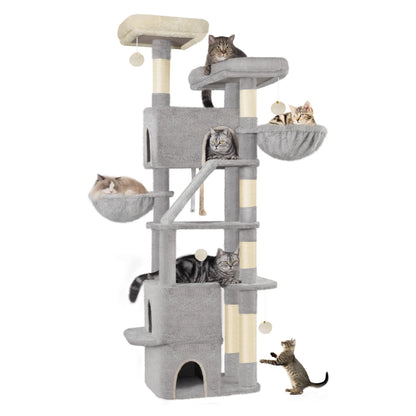 ARBRE A CHAT MAINE COON <br> "Le Trust App"