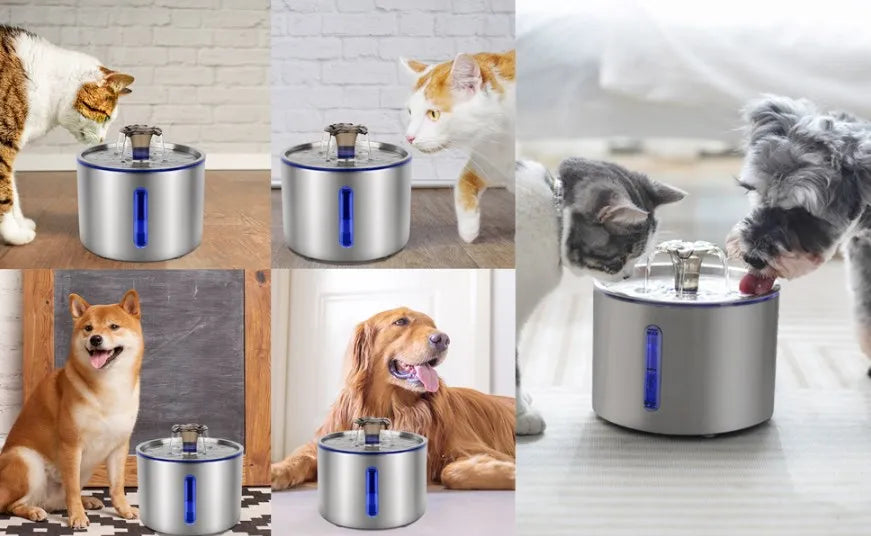2.5L Stainless Steel Automatic Cat Water Fountain Auto Power-off Fountain With LED Light Non-slip Mat Dog Water Dispenser