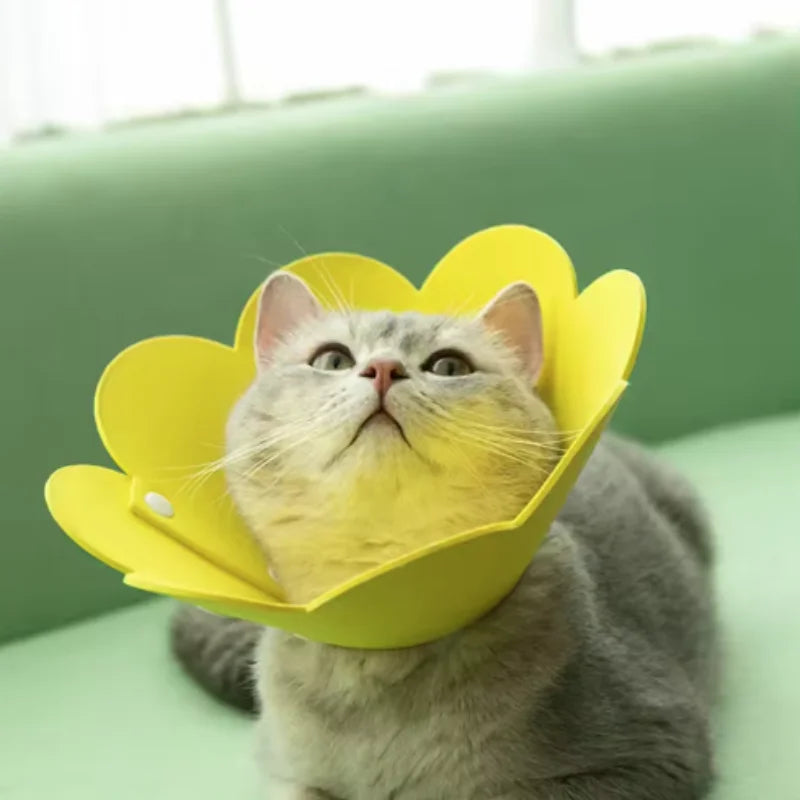 Adjustable Flower Shape Cat Recovery Collar for Wound Healing Protective Cone Ideal for Cats Small Dogs Puppy Recovery Aid
