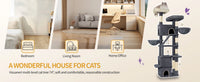 ARBRE A CHAT MAINE COON <br> "Le Trust App"