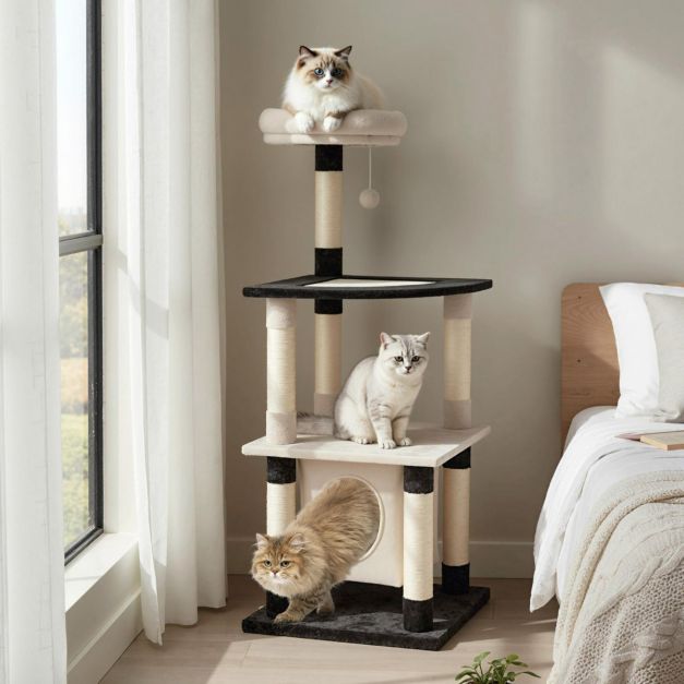ARBRE À CHAT <br> "Le middle"