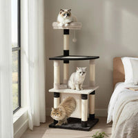 ARBRE À CHAT <br> "Le middle"