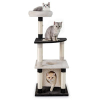 ARBRE À CHAT <br> "Le middle"