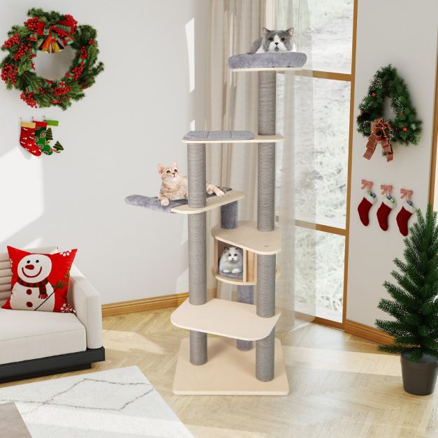 ARBRE A CHAT MAINE COON