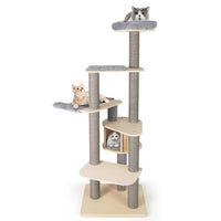 ARBRE A CHAT MAINE COON