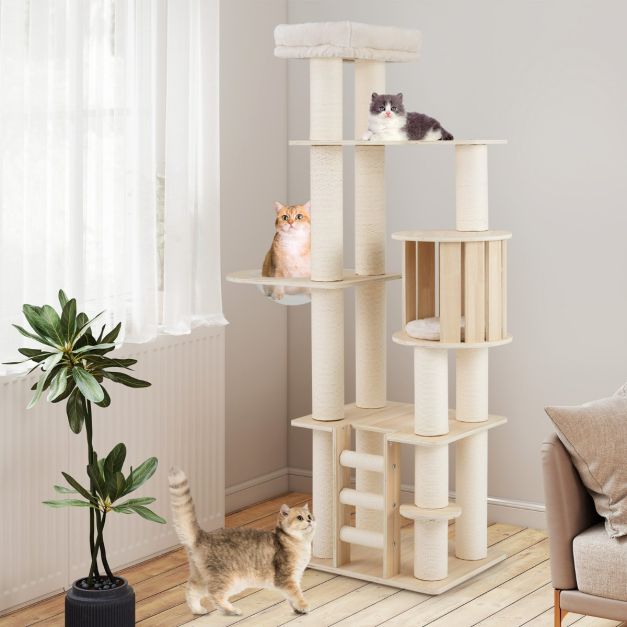 ARBRE À CHAT MAINE COON <br> "Non nommé"