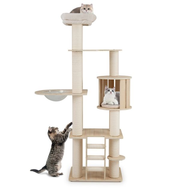 ARBRE À CHAT MAINE COON <br> "Non nommé"