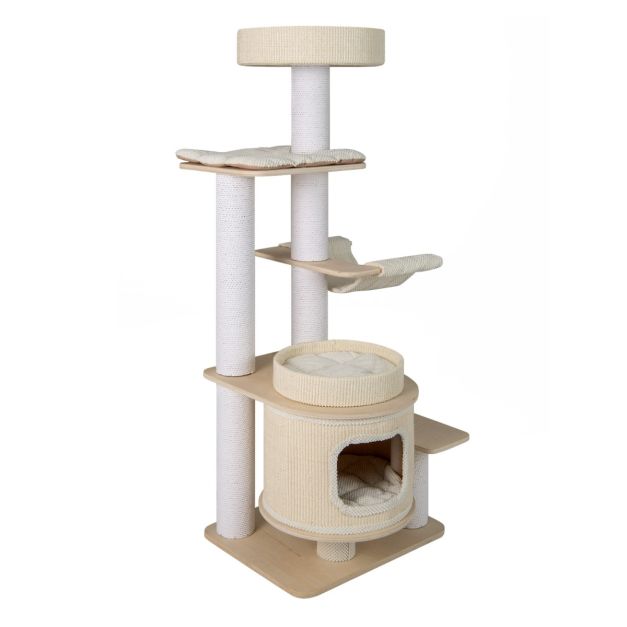 ARBRE À CHAT MAINE COON <br> "Non nommé"