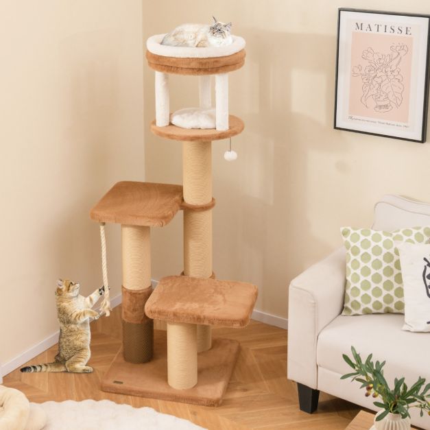 ARBRE À CHAT <br> "Le café robuste"