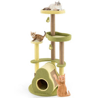 ARBRE À CHAT <br> "L'avocat"