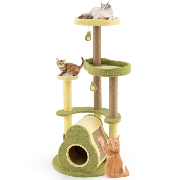 ARBRE À CHAT <br> "L'avocat"